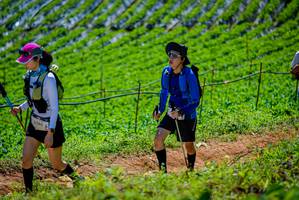 BIB: 
                            <button type="button" onclick="openModal(19164477)" class="btn btn-primary btn-sm float-right btn-popup" data-toggle="modal" data-target=".modal-high-quality">
                        <i class="fas fa-shopping-cart"></i> Add to Cart
                    </button>
                                            <button type="button" onclick="isThisMe(19164477, true)" class="btn btn-success btn-sm float-right btn-popup btn-isme hidden" data-toggle="tooltip" data-placement="bottom" title="นี่คือรูปของคุณใช่ไหม คลิกที่นี่เพื่อเอาเข้าอัลบั้ม">
                        <i class="fas fa-plus"></i> Add to album
                    </button>
                    <button type="button" onclick="isThisMe(19164477, false)" class="btn btn-warning btn-sm float-right btn-popup btn-isnotme hidden">
                        <i class="fas fa-ban"></i> Remove from album
                    </button>